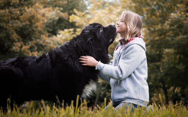 kindvriendelijke honden | EURO PREMIUM